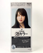 Load image into Gallery viewer, Final Sale: Kao Japan Liese Prettia Soft Bubble Hair Color (Various Colors).
